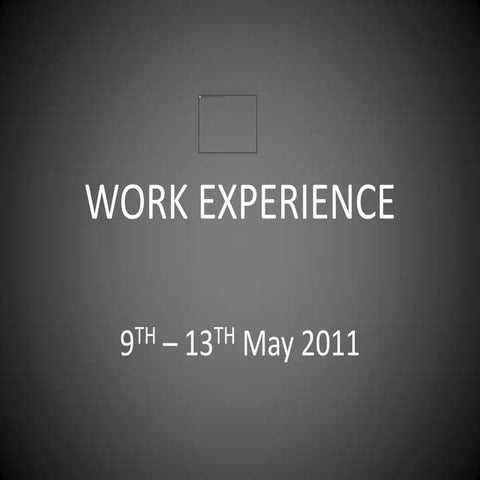 Work%20 experience%20presentation[1]