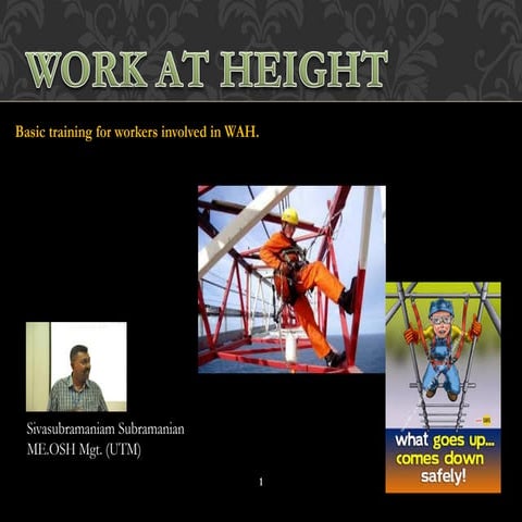 Work at height. The basic needs.