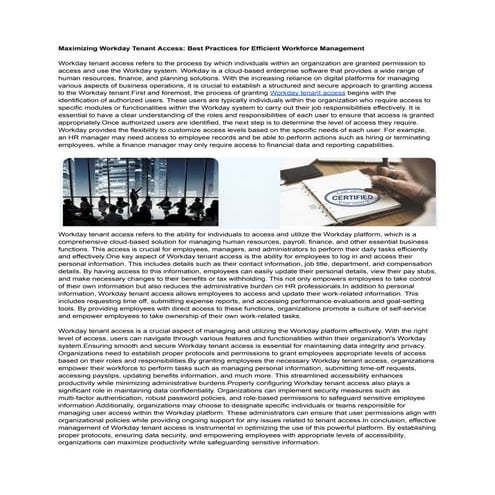_Workday tenant access.pdf