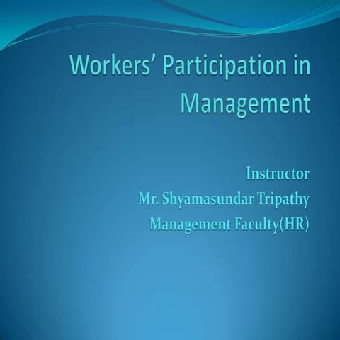 Workers’ participation in management