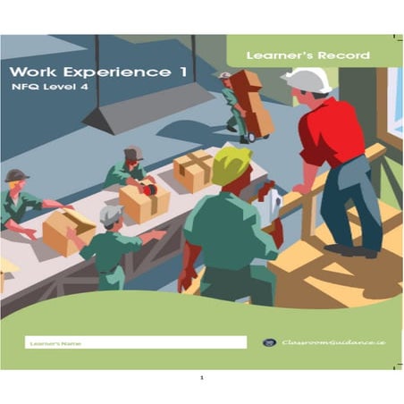 Work Experience 1 Learner's Record 