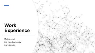 Work Experience Slide - Madihah Ismail 2024