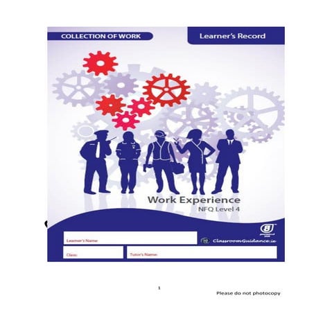 Work Experience Level 4 Learner's Record