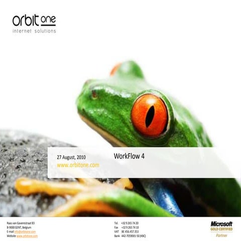 Introduction to Workflow 4