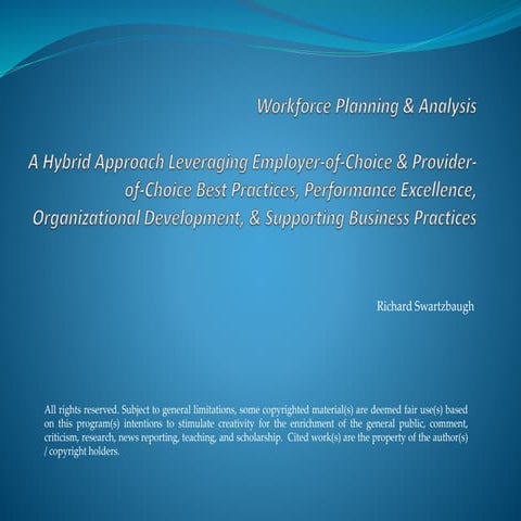 Workforce & Workstream Planning & Analysis
