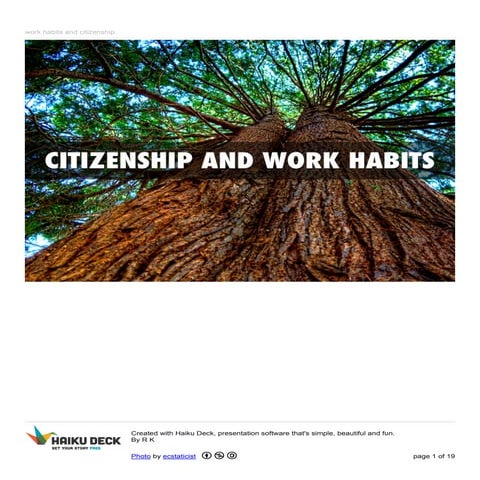 Work habits and citizenship 3