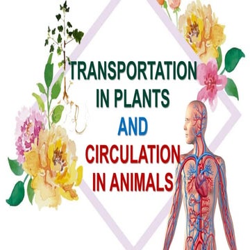 TRANSPORTATION IN PLANTS AND CIRCULATION IN ANIMALS.ppt