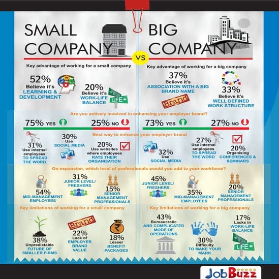 Working for Small vs Big Company - JobBuzz | PDF