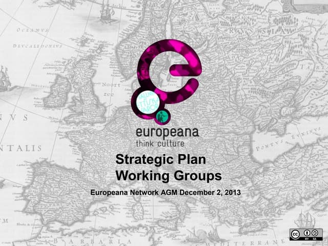 AGM 2013 - Strategic Plan working groups outcomes