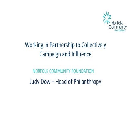 Working in partnership to collectively campaign and influence   judy dow (25-...
