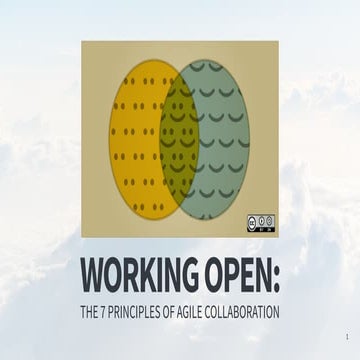 Working Open: 7 principles for agile collaboration