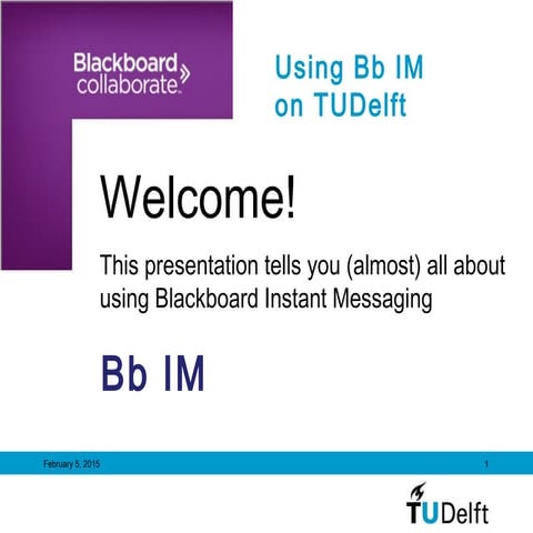 Working with BbIM on tudelft
