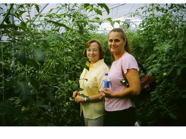 Working With Institutions