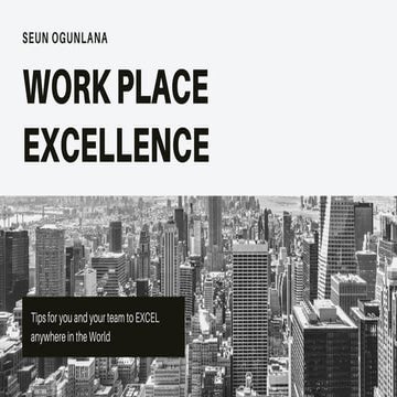 Work Place Excellence by Seun Lana