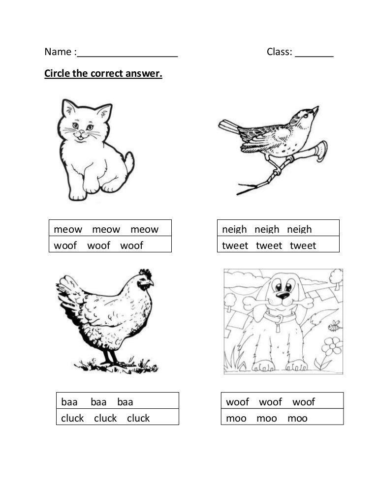 Worksheet