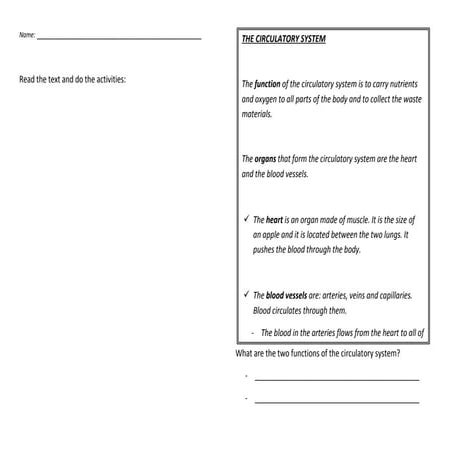 Worksheet 05 the circulatory system