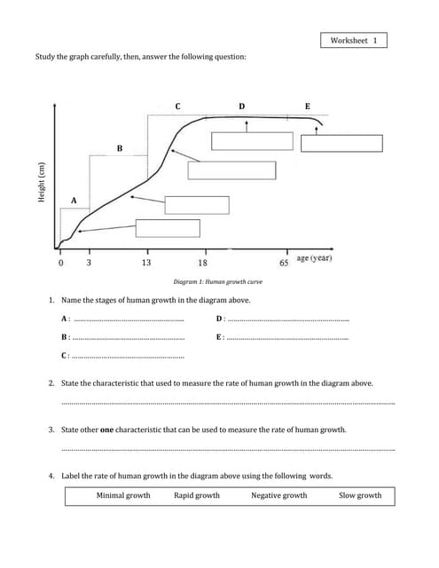 Unit 9+10 revision | PDF