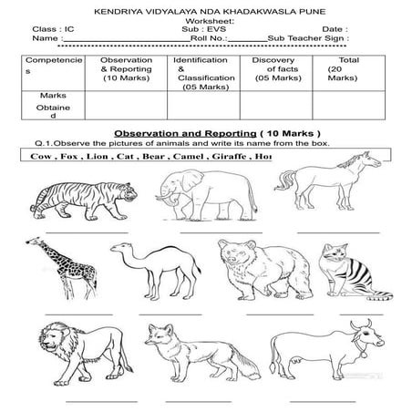 1 Worksheet Primary class kv ENGLIST , EVS