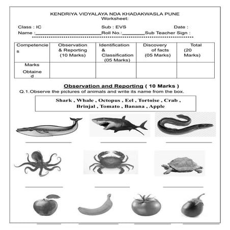 1 Worksheet Primary class kv ENGLIST , EVS
