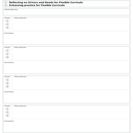 Flexible Curricula Viewpoints A0 Worksheet
