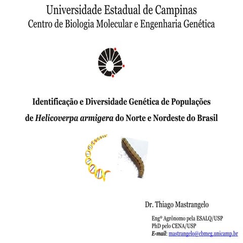 III WSF, Campinas – Thiago Mastrangelo - Identificação e Diversidade Genética...