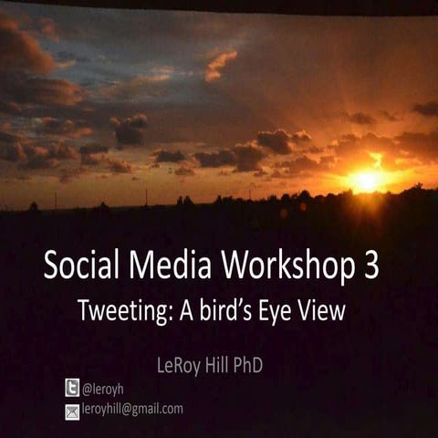 Social Media Workshop 3: Twitter A bird's eye view