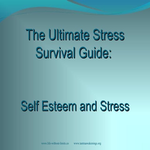 Workshop 5  self esteem and stress
