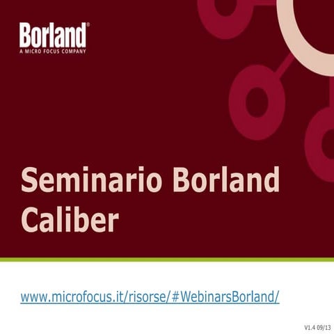 Workshop Borland - Caliber
