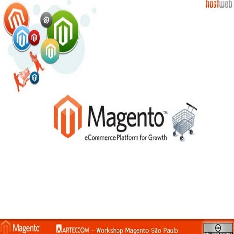 Conexão Magento SP