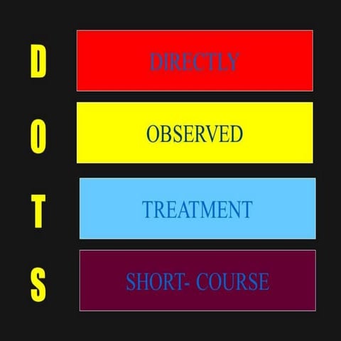 Workshop presentation