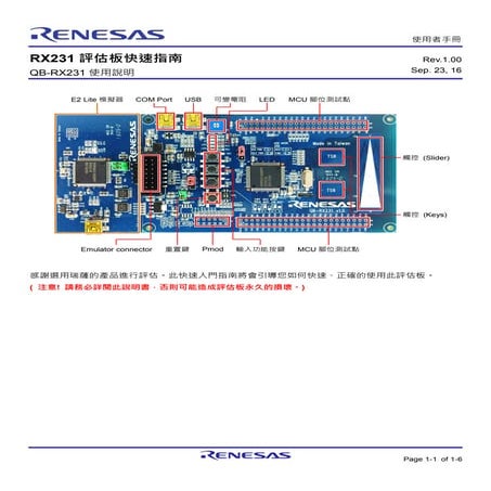 RENESAS RX231 Workshop textbook