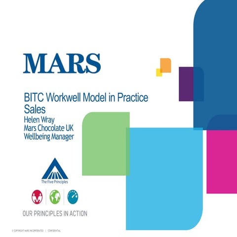 Mars Case Study: BITC Workwell Model in Practice