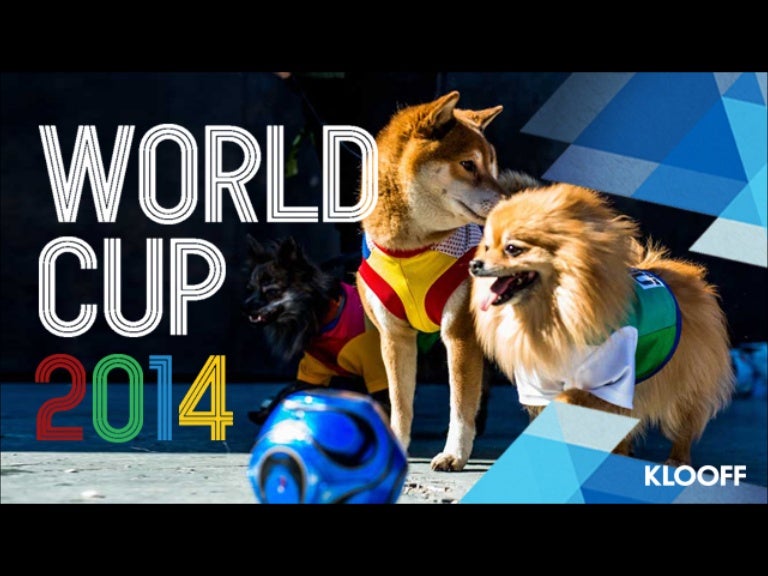 World Cup 2014 Dog Soccer Fans