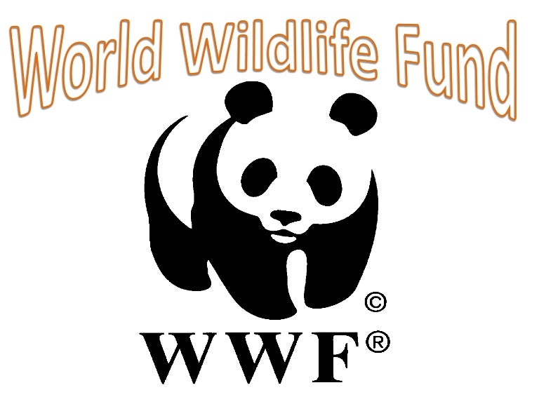 World Wildlife Fund World Wildlife Fund