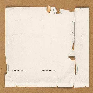 World_20250211_183943_0000 in purposive .pptx