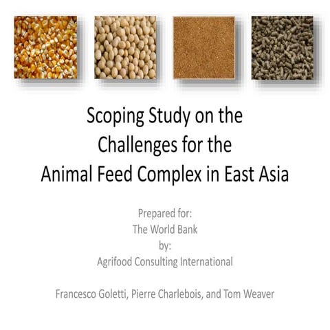 Scoping Study on the Challenges for the Animal Feed Complex in East Asia