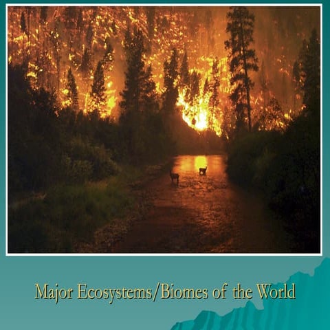 WORLD BIOMES IN OUR WORLDS - SCIENCE .ppt