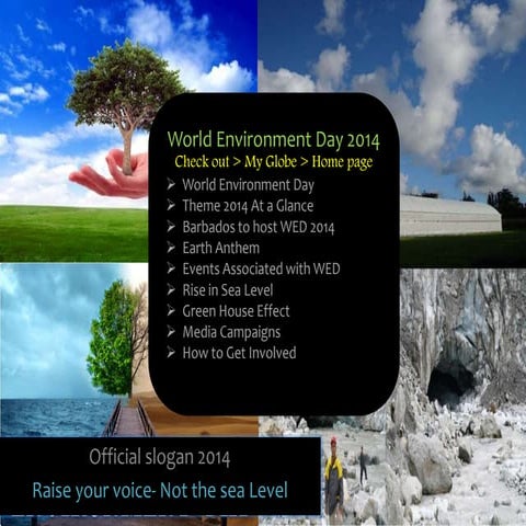 World Environment Day