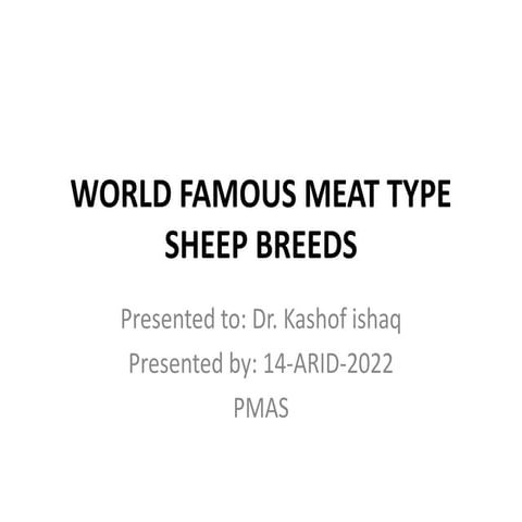 World famous meat type sheep breeds