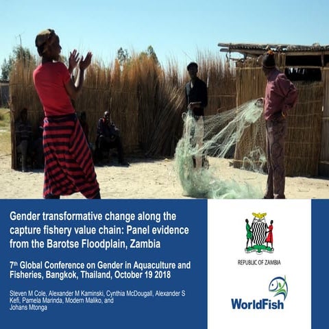 Gender transformative change along the capture fishery value chain: Panel evi...