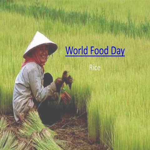 World food day presentation | PPTX