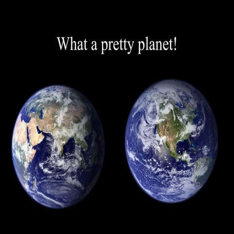 World health day 2010