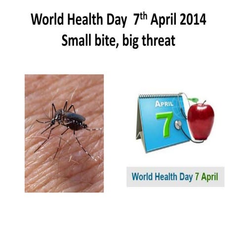World health day  7th april 2014