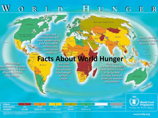 Essay on world hunger