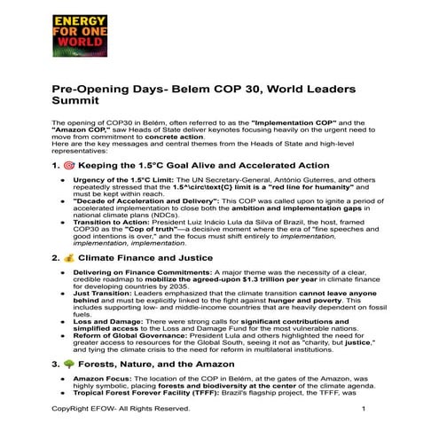 World Leaders Summit - Belem COP30.docx.pdf