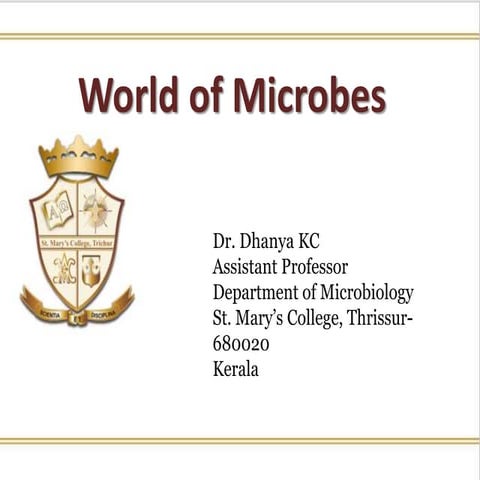 World of microbes