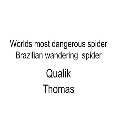Worlds Most Dangerous Spider
