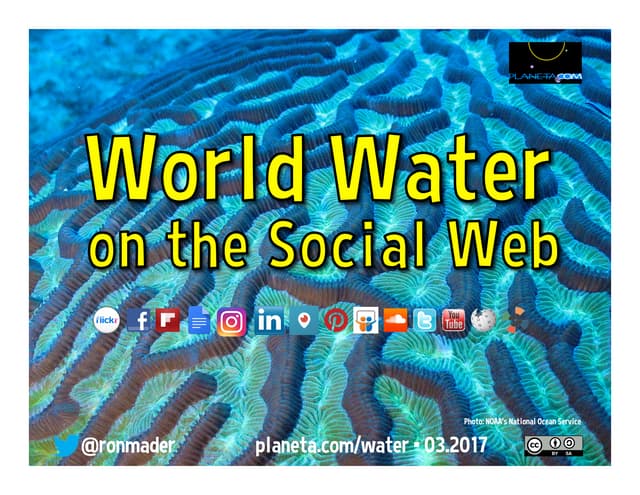 World Water on the Social Web