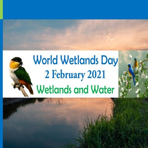 Worlds Wetland Day -  2021