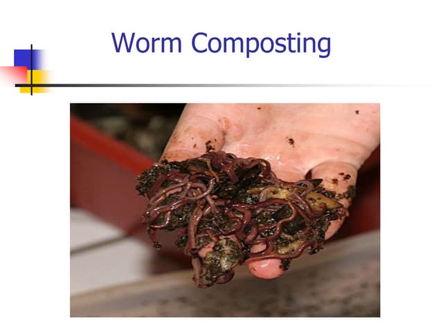 worm composting and its adequate benefits along replanishing the soil Biology Diagrams